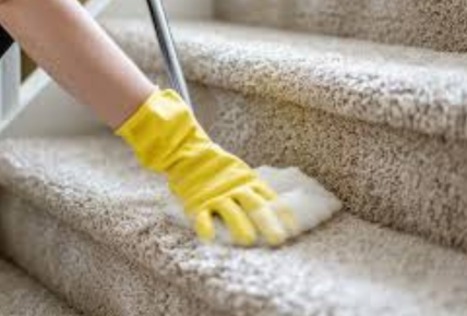 professional carpet cleaners Dublin