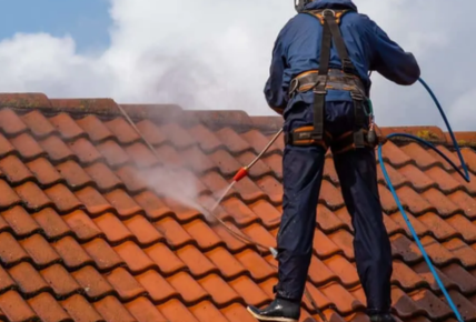 roof cleaning near me
